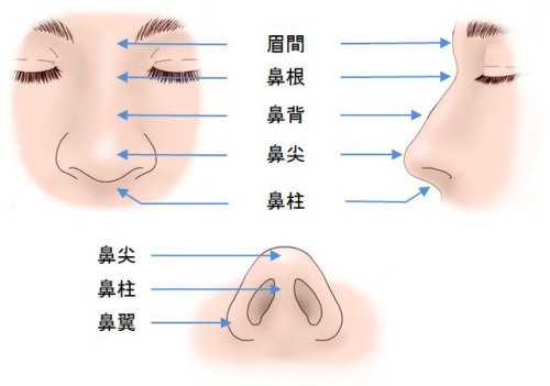 aidoku:眉間　「みけん」 Brow (area between eyebrows)鼻根　「びこん」 Root of...