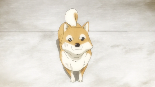 animedogoftheday