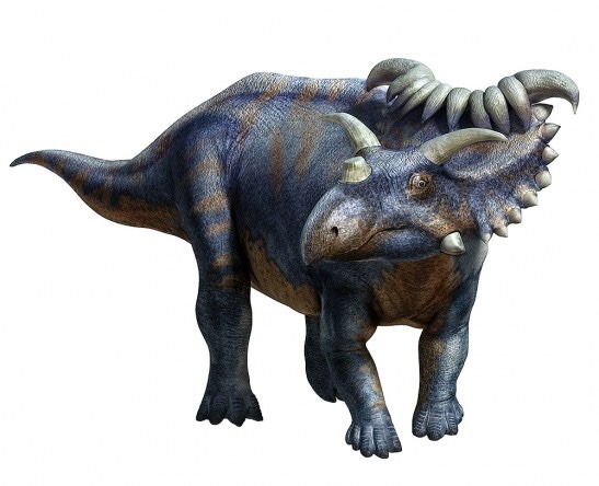 cosmo ceratops