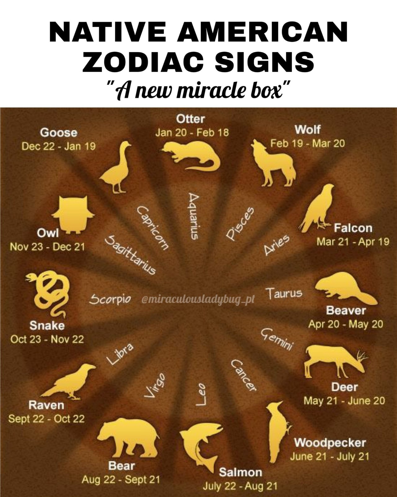 native zodiac | Tumblr