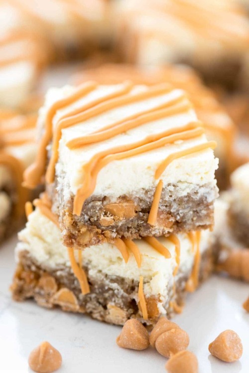 bloggersfood:Oatmeal Scotchie Cheesecake Bars