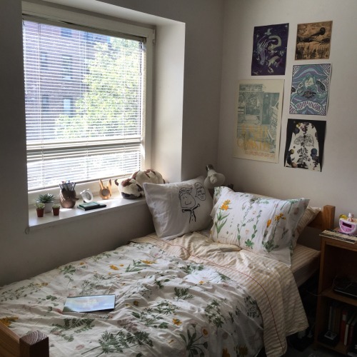college dorm room on Tumblr