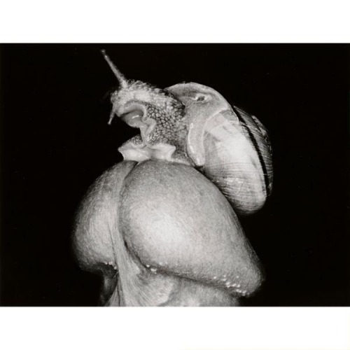 virginia-dalloway:Nobuyoshi Araki - Erotos, 1993, gelatin silver...