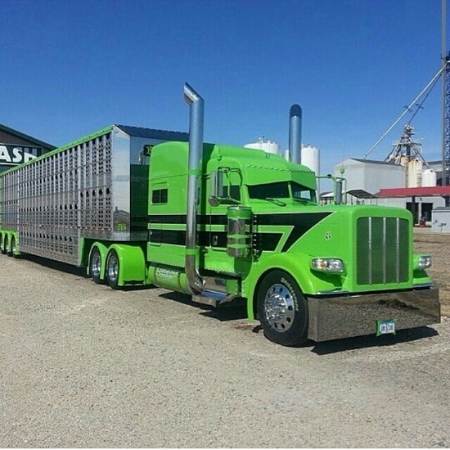 Semitrckn — Peterbilt custom 379 bull hauler