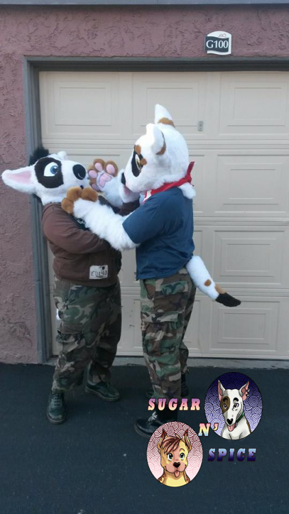 sugarnspicecostumes:Cutie Stupid dogs being stupidme and my...