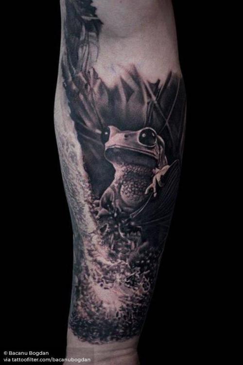 By Bacanu Bogdan, done at NR Tattoo Cheltenham, Cheltenham.... amphibian;black and grey;bacanubogdan;big;animal;facebook;red eyed tree frog;twitter;inner forearm