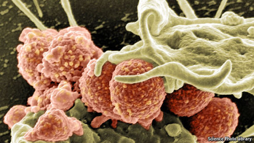 theeconomist:The grim prospectThe evolution of pathogens is...