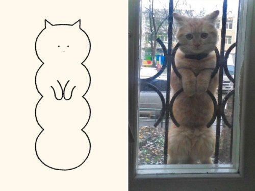 catasters