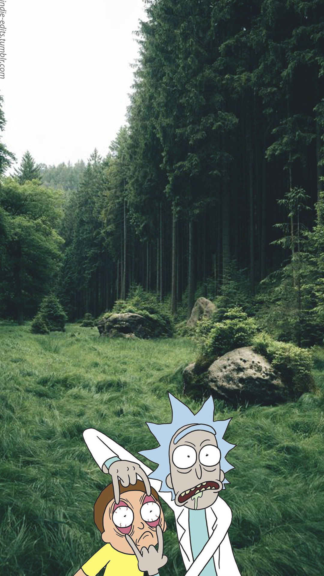 Fondos Lockscreens Rick Morty