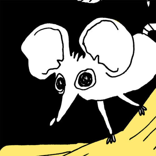 dahl the witches full text