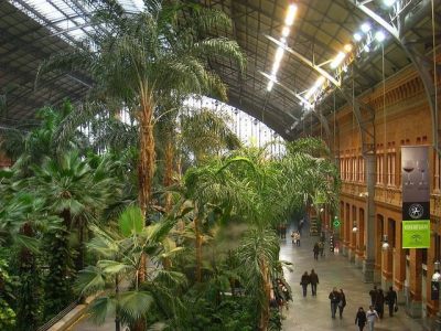 Cozy Train Station with Tropical Garden - Atocha Estation - Madrid Spain [800 x 600]