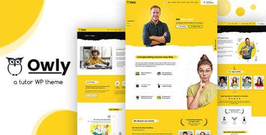 Owly v1.3 – Tutor Training WordPress elearning Theme Nulled