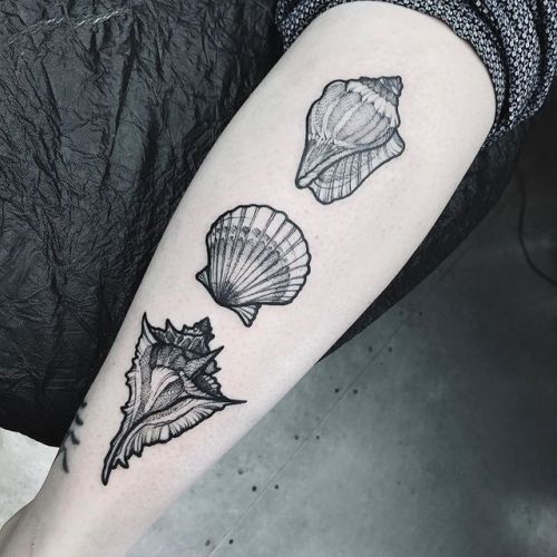 Anna Enola @annaenola;Anna Enola;sea shells;shell;shells;artist;flash;tattooing;tattooist;machines