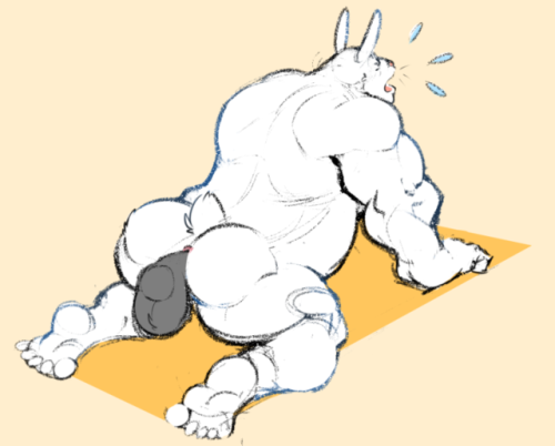 kemo-nsfw-mackles:Bun’s buns 