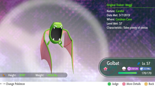 Shiny Golbat Tumblr