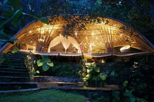 voiceofnature:Bambu Indah sustainable retreatcenter in...