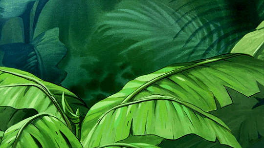 tumblr_pv7r68qk8J1szij3so3_r1_540.gif