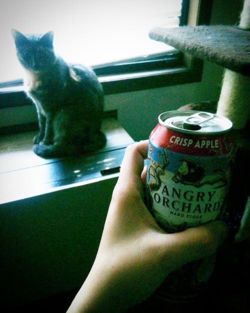 Finally a chance to relax, cracking open a cold one with my cat.