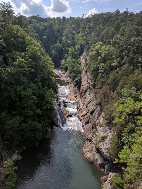 Tallulah Gorge in North GA is a must see! It’s such a fun...