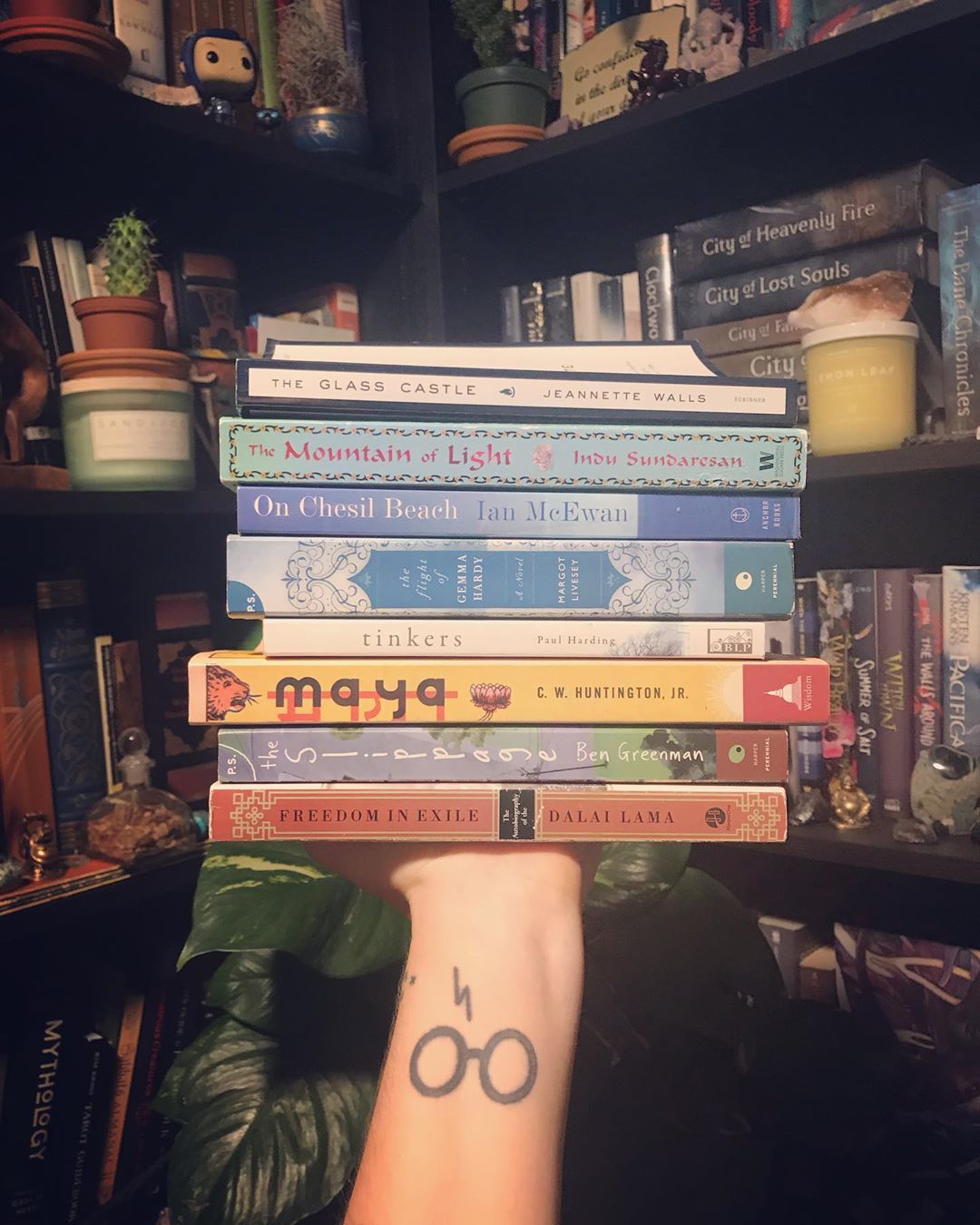 When I was in college, I got this ridiculous notion in my head that I was only allowed to read books firmly in my field of study. Despite still being a young adult, I bought only adult literary fiction. And then never read them. . As an actual adult...