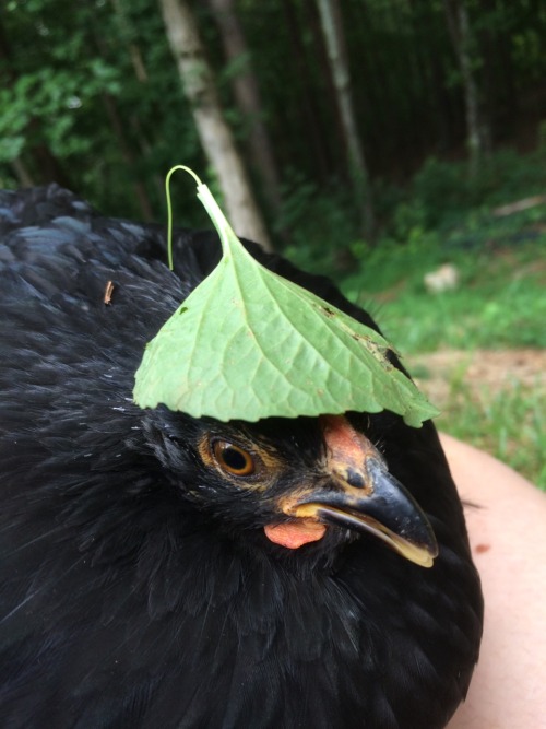 lady–hen:Leaf goddess