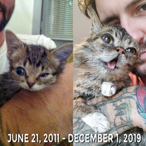 This is my first photo with BUB next our last photo together. On the morning of Sunday, December 1st 2019 we lost the purest,...