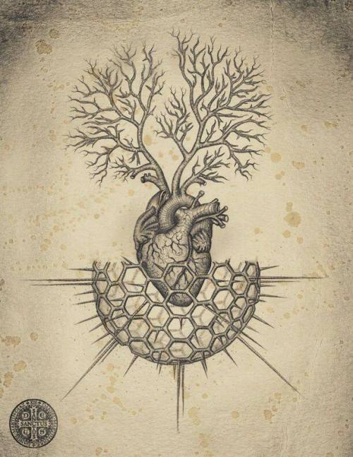 skindeeptales:Heart tattoo ideasvia My Stormy Heart