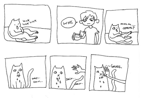 awfulr:some comics about my shit cat, Tom Cruise.