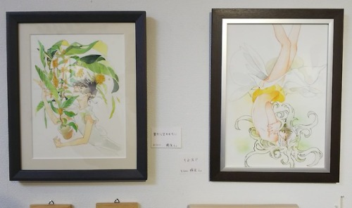 展示しました。 百の花展2018/4/4~4/9