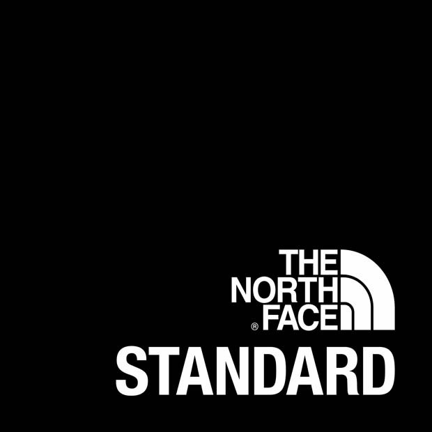 the north face standard record bag