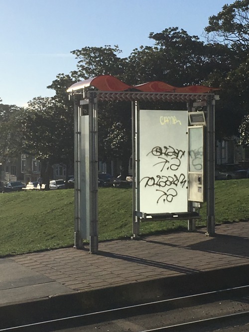 sanfranciscomuni