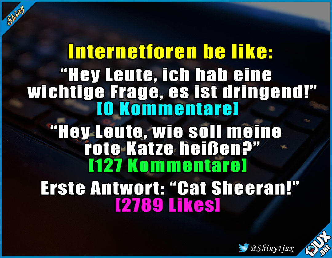 Lustige Sprüche Typisch Internet