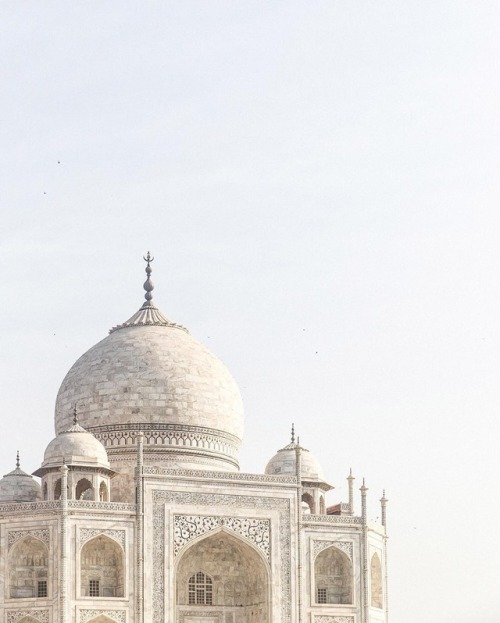 taj mahal on Tumblr