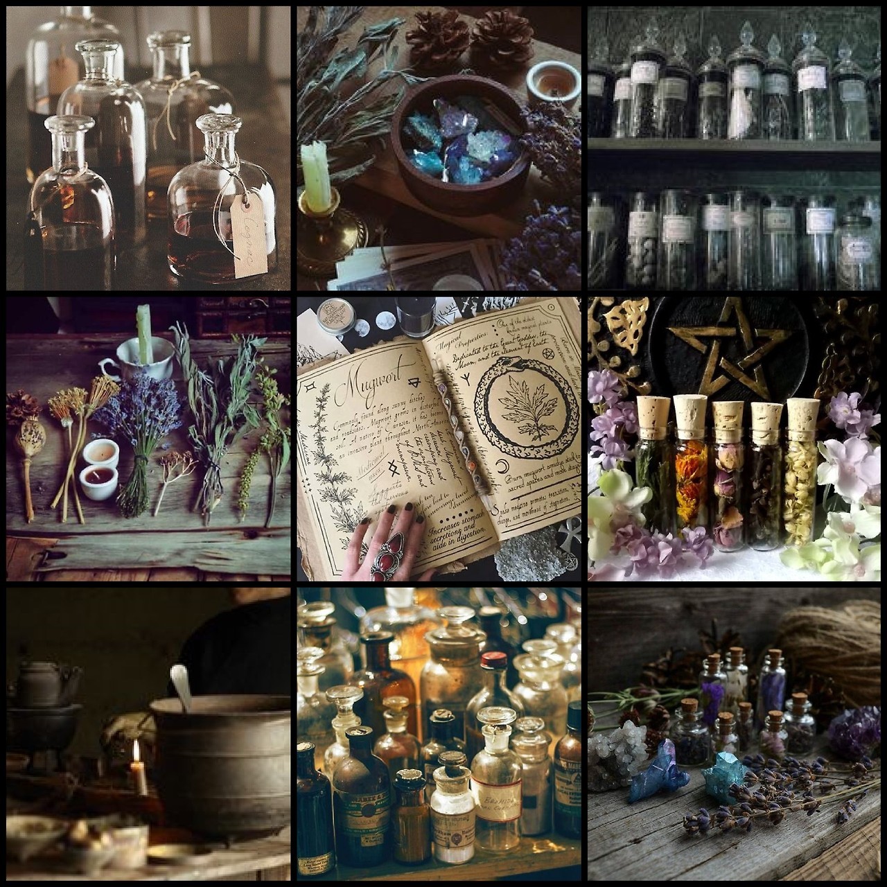 inspiration. art. — toxic-boards: Theme Aesthetic: Apothecary