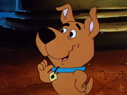 scrappy doo on Tumblr