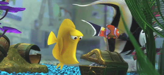 Finding Nemo Bubbles
