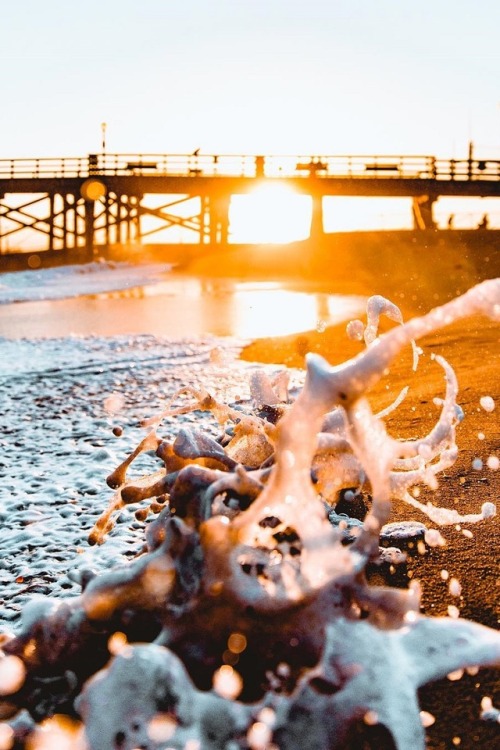 alecsgrg:Seal Beach, California | ( by Ryan Longnecker )