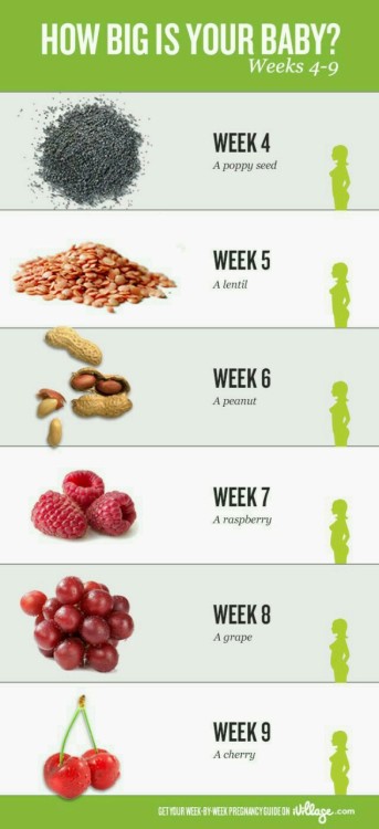 Baby as relatable foods Baby as relatable foods