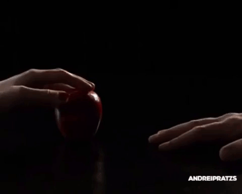 tumblr_p0em80Pzyv1uzfbuao2_500.gifv
