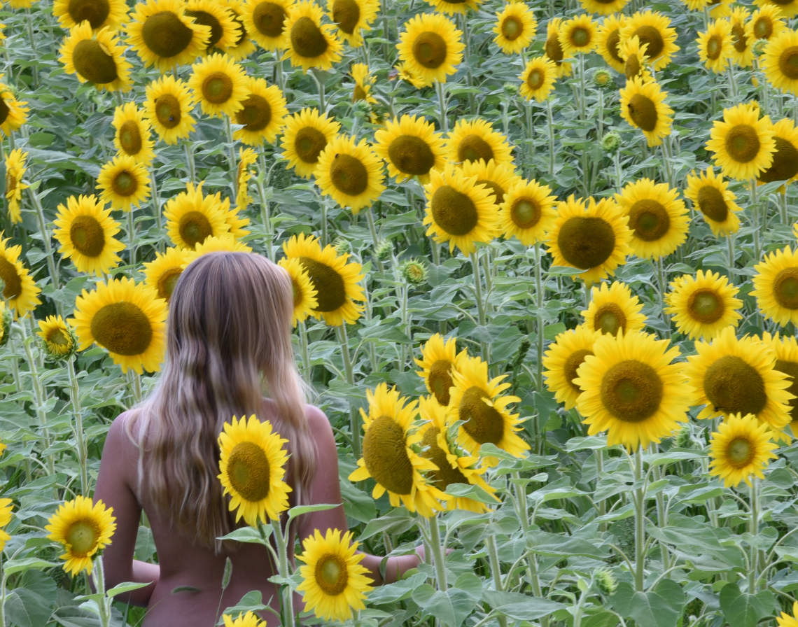 flower field on Tumblr
Flower Fields Tumblr