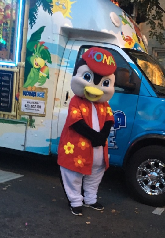 kona ice driver kona ice driver