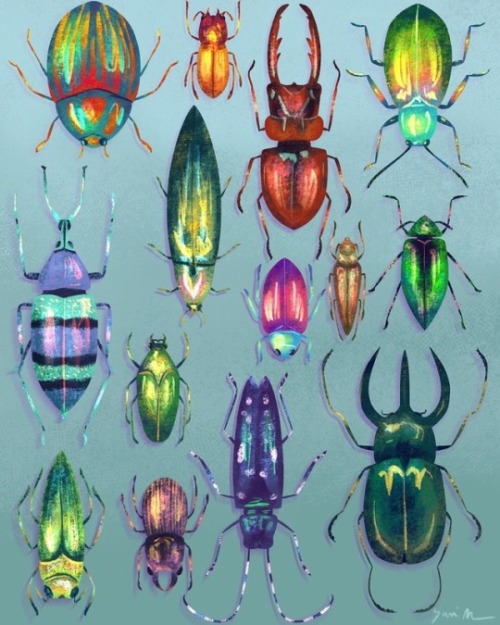 soft-stims:metallic / iridescent bugs for @rileyram12