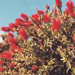 tumblr_pqwb954vG41qg8y4ro1_400.gif