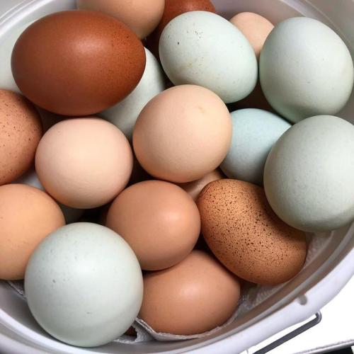 mmfood