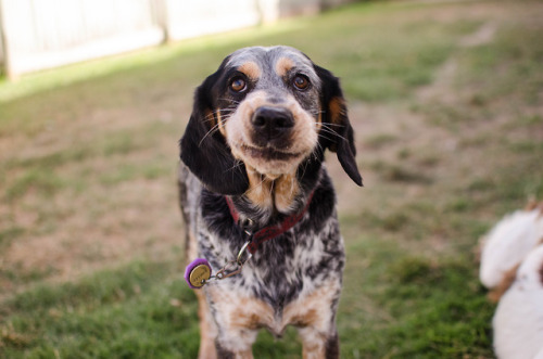 sidetongue:you’re really somethin, kid. 