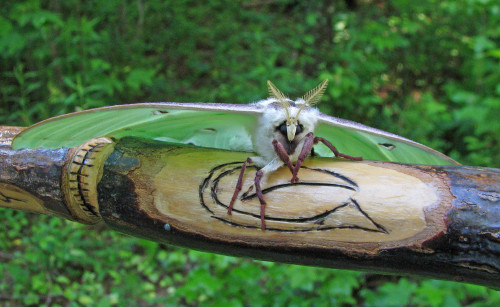 onenicebugperday