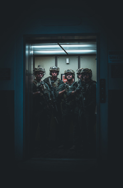 specialforceoperator:Special Weapons and Tactics (SWAT) Team