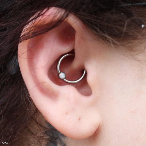 everythingandru:#daithpiercing #piercingsbyandru...