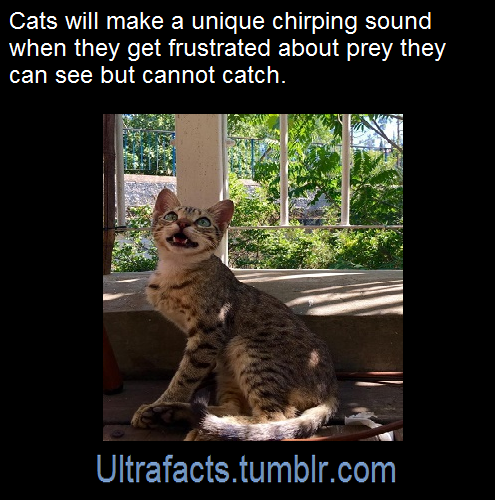 ultrafacts:Source/article: [x]Follow Ultrafacts for more...