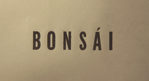 cornelioex:Bonsái (2011)